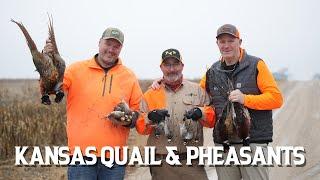 Kansas Quail & Pheasants |  The Flush: Season 15, Episode 5