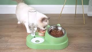 Cat Dog Bowl Automatic Feeder Food Bowl with Water Dispenser 15 Degrees Tilted Stainless Steel