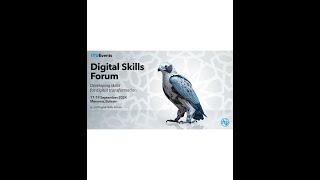 National digital skills frameworks for policymaking