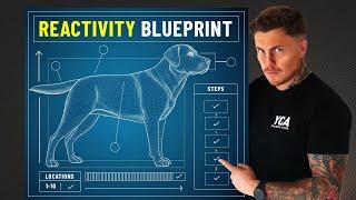 If I had a reactive dog in 2025, this is what I’d do (FULL BLUEPRINT)