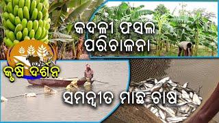 Krushi Darshan || କୃଷି ଦର୍ଶନ || 09 Sept 2024