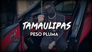 PESO PLUMA  TAMAULIPAS  (INEDITO) (CORRIDOS-2023)