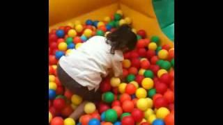 Doty pavan in ball pit