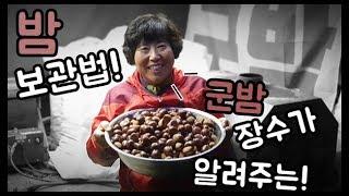 밤 보관법! 군밤장수가 알려주는!?  - 주말농장 [일꾼TV]