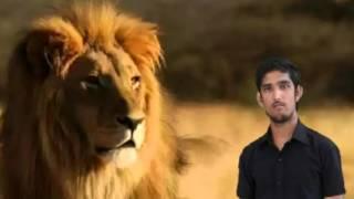Mahender nayak 9701491303 NARLERY PANDARY RENUKA