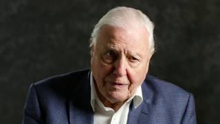 Sir David Attenborough | A message to world leaders