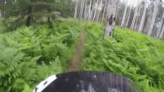 Mountain Biking the Arizona Trail by Flagstaff Arizona