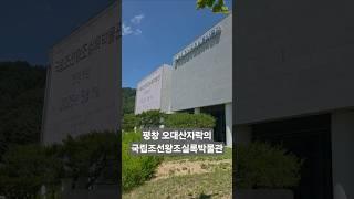 조선왕조실록을 보관하던 조선 5대 사고중 하나인 평창 오대산사고 근처에 새롭게 설립된 국립조선왕조실록박물관 #국내여행 #강원도 #평창군 #오대산국립공원 #자동차여행