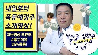 0617일[내일부터 날아갈 종목소개]한화/다우데이타/쓰리빌리언/삼성증권/삼성물산/키움증권/헥토파이낸셜/카카오/카카오페이/코오롱/SK/HD현대/더즌/산일전기/효성중공업/한글과컴퓨터