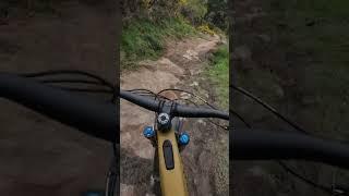 the Rock Slab section on "Ponos" . Is way steeper in person #slabs #mtb #fyp #rocks #kenevo