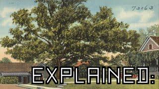 Explained: The Tree That Owns Itself