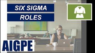 What are the different Six Sigma Project Roles? - Part 04 (FREE Mini Course Series)