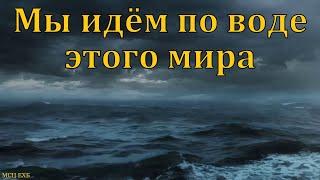 Зачем мы ходим в церковь? В. Н. Елисеев. МСЦ ЕХБ