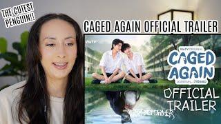 [Official Trailer] Caged Again บอกกรงๆ...ว่ารักเธอ REACTION | New Thai BL