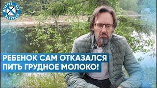 Почему малыш сам отказался от груди?  Мифы и реальность