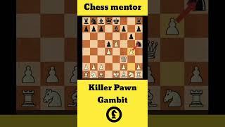 Pawn Gambit | Chess mentor | Killer Pawn Gambit