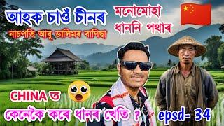 চীনত কেনেকৈ কৰে ধানৰ খেতি ?চাওঁক কি সুন্দৰ ধানখেতি পথাৰ China Rice field/farming Bhukhan Pathak