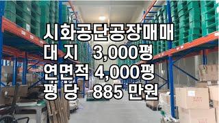 시화공장매매, MTV공장매매,  엠티브이 신축급 공장 반월, 시화공단부동산
