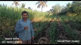 50 Divsamadhe sendriy khatacha Alela rezalt# Chandrakant patil