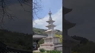 무심사에서 바라본 낙동강 절경_#임영웅 이제 나만 믿어요#shorts