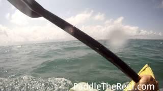 Kayak Soldier Key to Key Biscayne