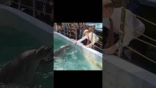 VladimirPutin president of Russia feeding dolfin ️. #vladimirputin #moscow #russia @RTime_TV8