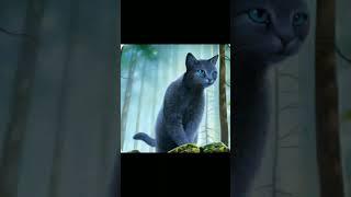 #bluestar #edit #short #warriorcats @Cloudy-Editz