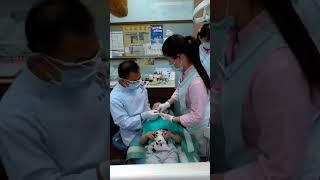 卡卡看牙醫(KaKa's dentist tour)