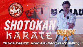 Shotokan Karate - 7th Kyu - Orange Belt - Neko Aski Dachi Class (Part 1)