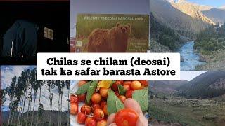 Road Trip To Chilam (Deosai) From Chilas by Astor Road// Astor Road Kesa Hai?