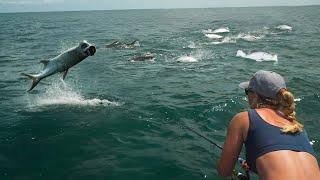 INSANE Tarpon Migration in Boca Grande Pass! (Non-Stop Jumps & Rolls)