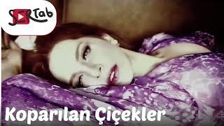 Sertab Erener - Koparılan Çiçekler