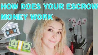Real Estate Terms To Know I Escrow Money Deposit #1