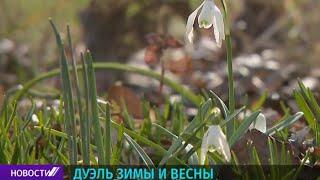 Погода в Беларуси: температурные рекорды марта и резкое похолодание
