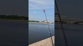 #дуплет #2025 #рыбалка #клюет #ёрш #fishing #fish #