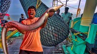 Amazing Fishing! Biggest ! Eel fish caught | Wow We Caught tTons Of Variety Fishes In Single Catch