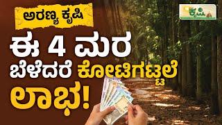 ಈ 4 ಮರ ಬೆಳೆದರೆ ಕೋಟಿಗಟ್ಟಲೆ ಲಾಭ! | Forest Farming In Kannada | Vistara Krishi | ಅರಣ್ಯ ಕೃಷಿ | Aranya