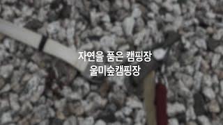 포천 울미숲 오토캠핑장 개별 샤워실과 베이커리 카페를 품은 숲 속 캠핑장