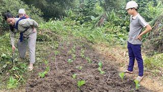 Kind Engineer visited the single mother who was hoeing the land to grow vegetables