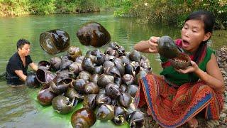 Swimming in hot season meet a lot of big snails - cooking snails delicious - survival skills