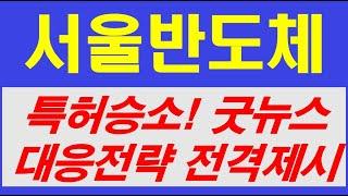 서울반도체 필립스와 특허전쟁 승소 희소식! 일단 여기까지는 간다. 절대 욕심부려선 안되는 이유도 있다.