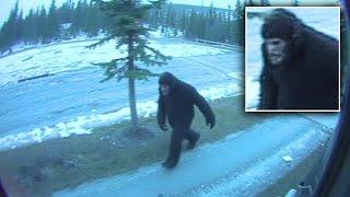 SASQUATCH in Portlock, Alaska, the SHOCKING Untold Story! "I can't BELIEVE what I SAW" #bigfoot