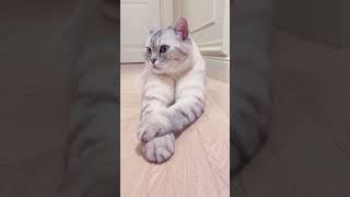 Почему Ириска один.
