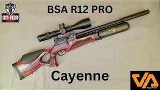 BSA R12 pro Cayenne 'Best BSA Yet?'