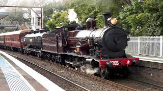 3265 Penrith to Valley Heights Shuttles - 29th June 2024 - 4K HDR