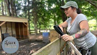 MORNING CHORES ON OUR 2 ACRE HOMESTEAD// MORE BABY CHICKENS // LAUX FAMILY FARM