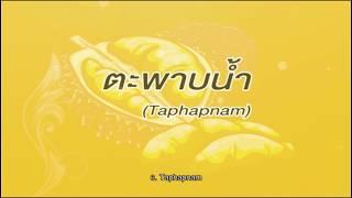 6 ตะพาบน้ำ