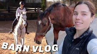 BARN VLOG: jumping my horses, feed routine, new riding attire etc.