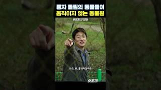 롱 자 돌림의 움직이지 않는 동물들 #해치지않아
