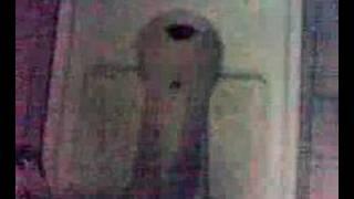 Squatting Twyfords With Push-Button Flush On The Wall